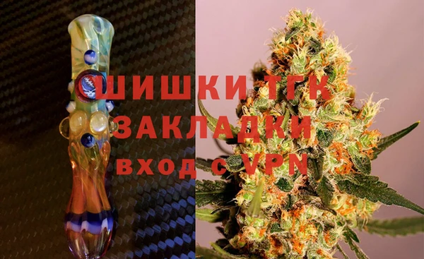 гидропоника Новозыбков