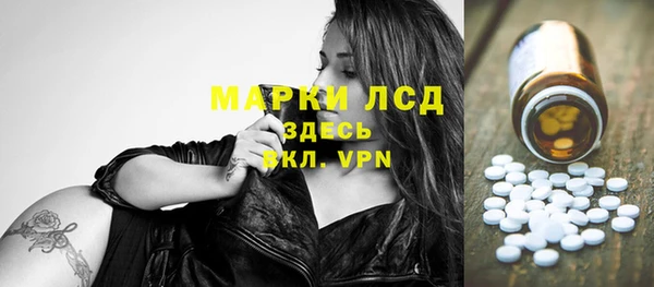 гидропоника Новозыбков