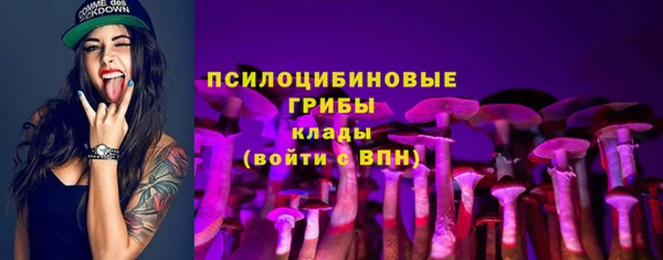 гидропоника Новозыбков
