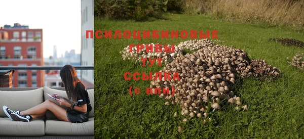 дурь Новодвинск