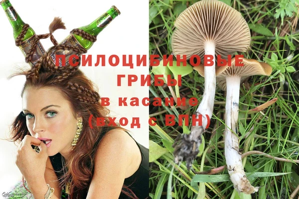 гидропоника Новозыбков