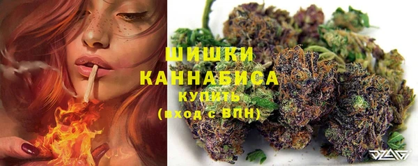 гидропоника Новозыбков