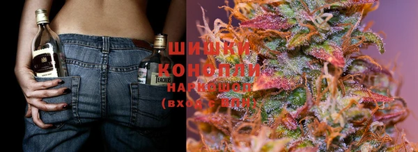 дурь Новодвинск