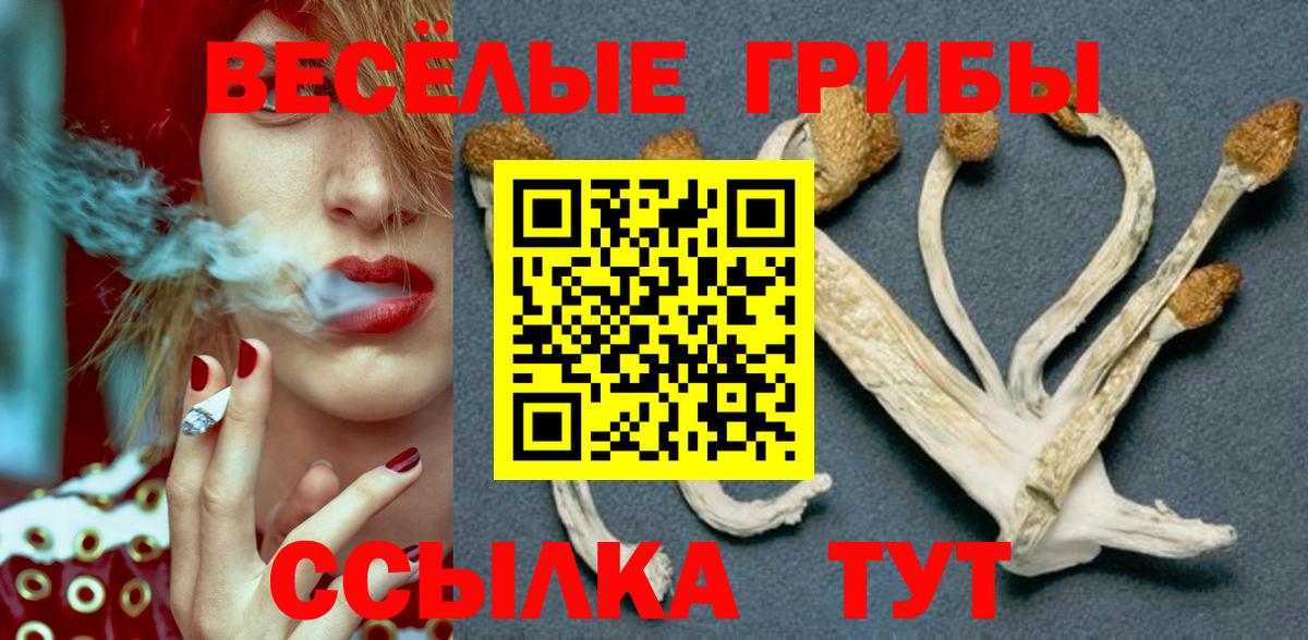 Галлюциногенные грибы Psilocybine cubensis Сарапул