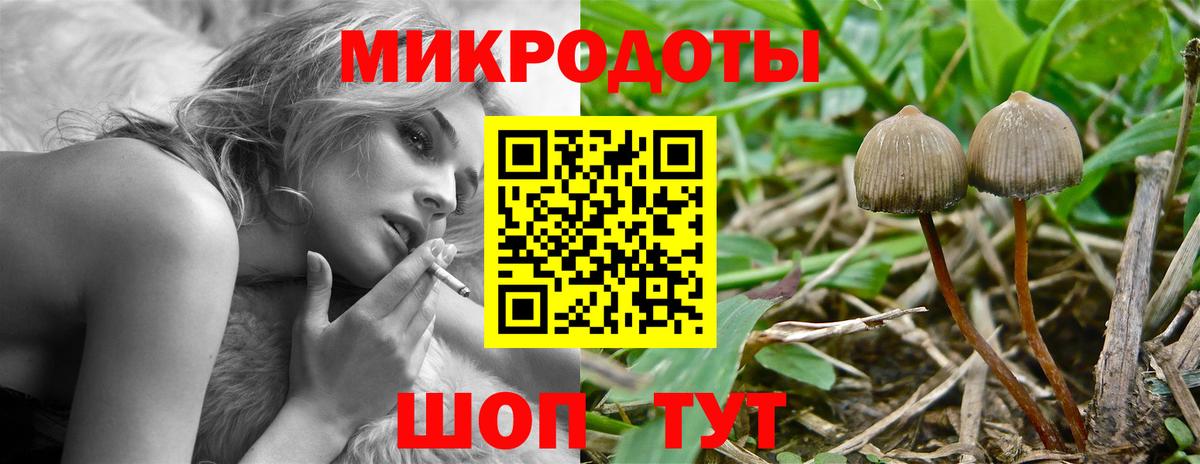Галлюциногенные грибы Psilocybe  где продают   Сарапул  Вход с VPN 